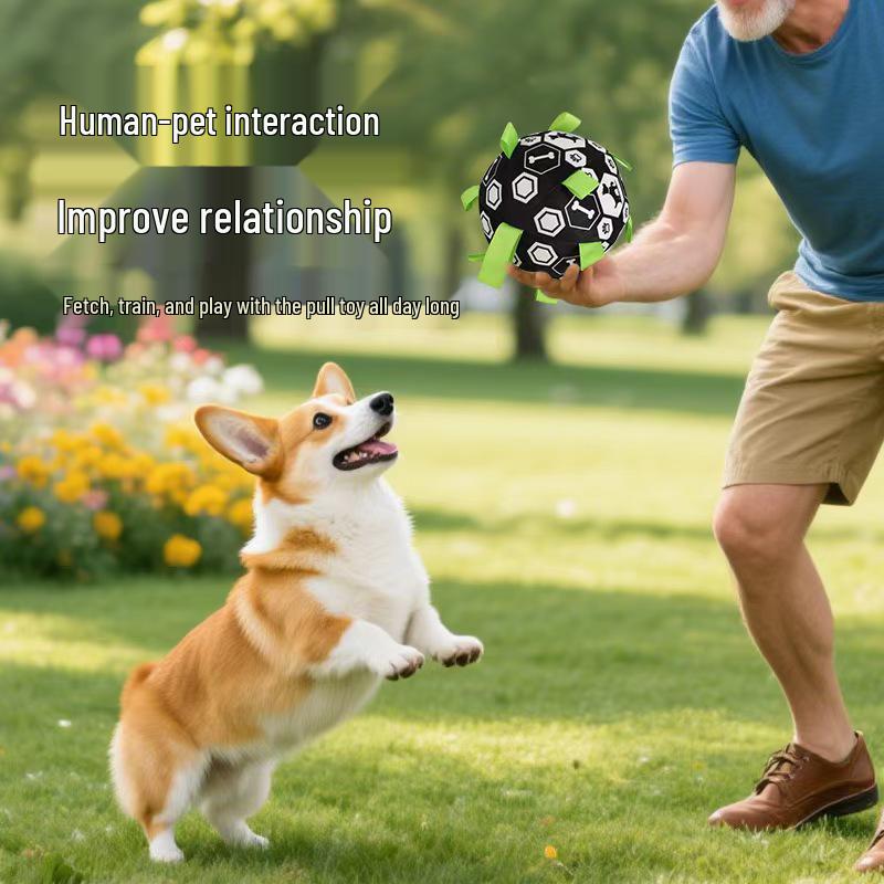 Self-Entertainment Bite-Resistant Dog Toy Ball for Collies, Labradors, Corgis & More