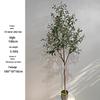 Olive Tree Potted Plant - Indoor Decor Simulation for Living Room