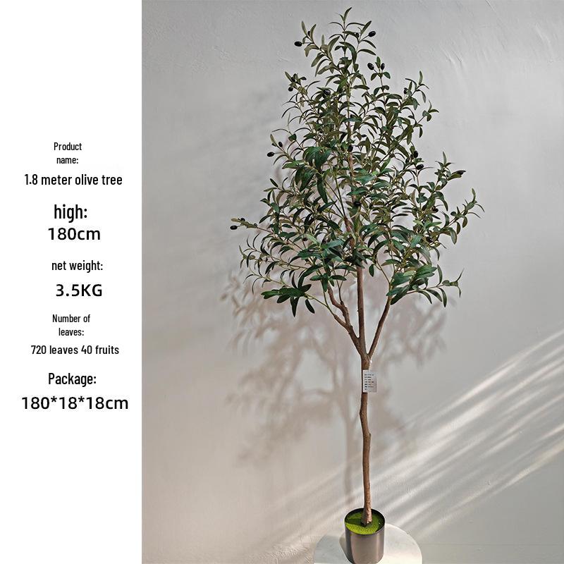 Olive Tree Potted Plant - Indoor Decor Simulation for Living Room