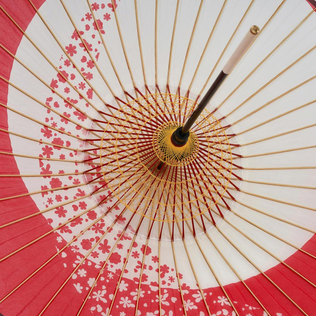 Parasol Rzemiosło Bambusowe Yamamoto Czerwony x (YAMAMOTOTAKIZAYIKUYA) Dwuetapowy wężowy wzrok [Tsuki-nu Sakura-ryu]