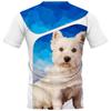 T-shirts e tops – T-Shirts