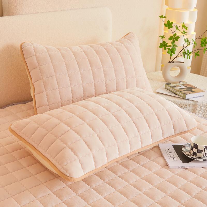Soft Padded Winter Coral Fleece Mattress Pad with Plush Velvet Quilted Cover