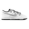 Nike Dunk Asphalt Gray Shadow Slip Resistant Abrasion Resistant Low top Skateboard Shoes Unisex DD1391-100(Team529-)