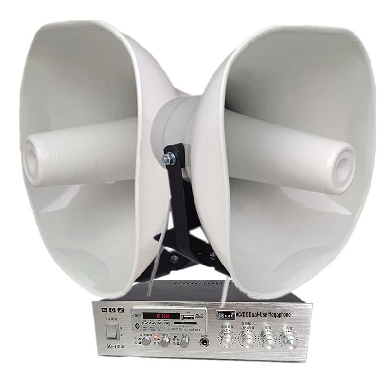 

Brangdy AC/DC Amplifier & Horn Speaker Kit