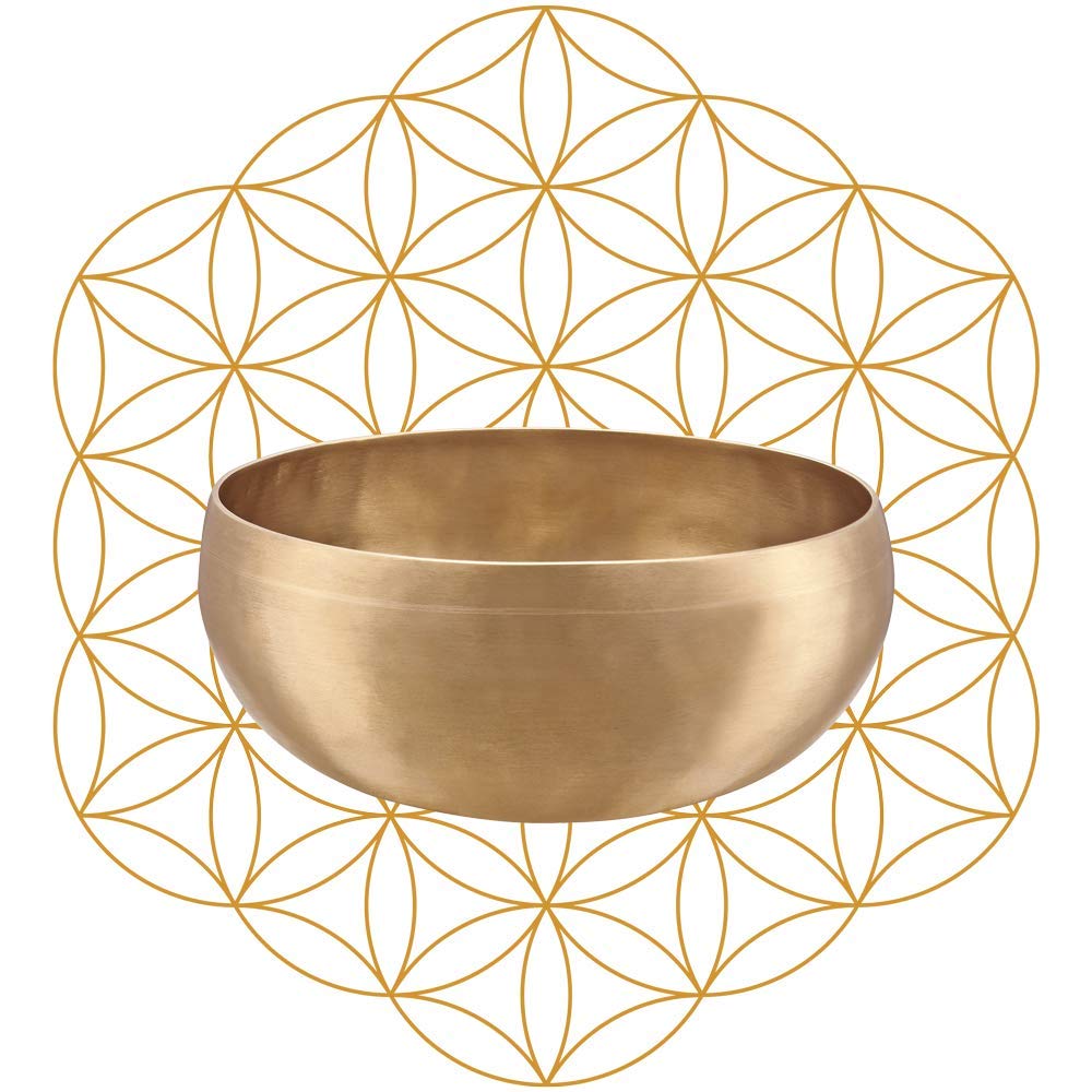 

MEINL Sonic Energy Collection Singing Bowl Synthesis Series Flower of Life 7.6 SB-S-FOL-1000