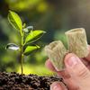 50pcs/set Hydroponic Grow Media Seedling Grow Plug Cubes Plant Cubes Soilless Substrate Seeded Rock Wool Plug Seedling Block