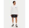 Спортивные шорты DC Shoes ADYWS03079