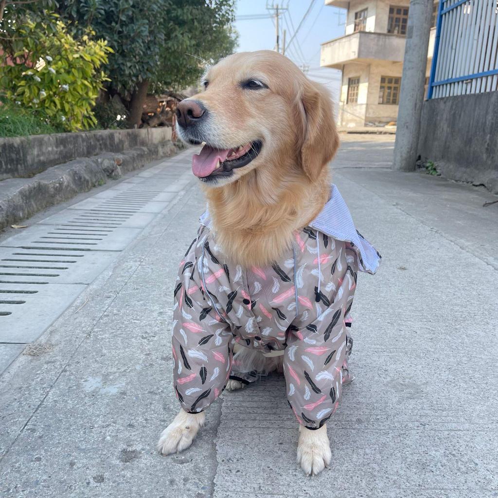 Large Breed Waterproof Reflective Dog Raincoat - Breathable 4-Legged Poncho.