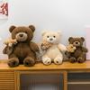 Teddy Bear Plush Toy For Valentines Day Gift Girl Boy Kids Soft Short Plush Material