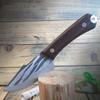 Coltello da cucina in acciaio inossidabile con manico in legno con coperchio Coltelli da chef Coltello da cucina Coltello da frutta per carne
