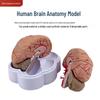Produse pentru școală – Echipament pentru instruire