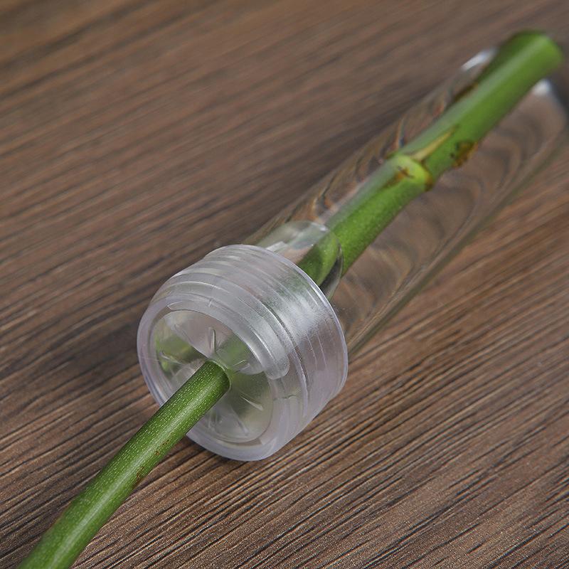 20Pcs Plastic Flower Water Tubes With Silicone Caps, Reusable Transparent Floral Vials For Flower And Plant Preservation