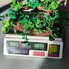 Wreath Bow Green Wreath St. Patrick's Day Decoration Door Hanging