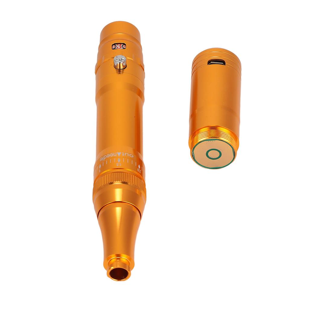 Professional Microblading Machine Rechargeable Plug In Dual Purpose Eyebrow Lip Tattoo Machine