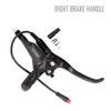 E-Bike Bremshebel 2-Pin 3-Pin Fahrrad Hydraulischer Bremshebel Stromaus schalten Scheibenbremshebel Hydraulischer Griff Elektroroller