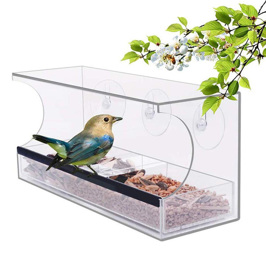 Fenster-Vogelhäuser Für Draußen – Zum Anbringen Am Fenster, Für Vögel Aller Lebensstadien