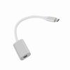 USB3.1 Typec To Mini DisplayPort Adapter USBC To Mini DP Converter For Macbook Silver