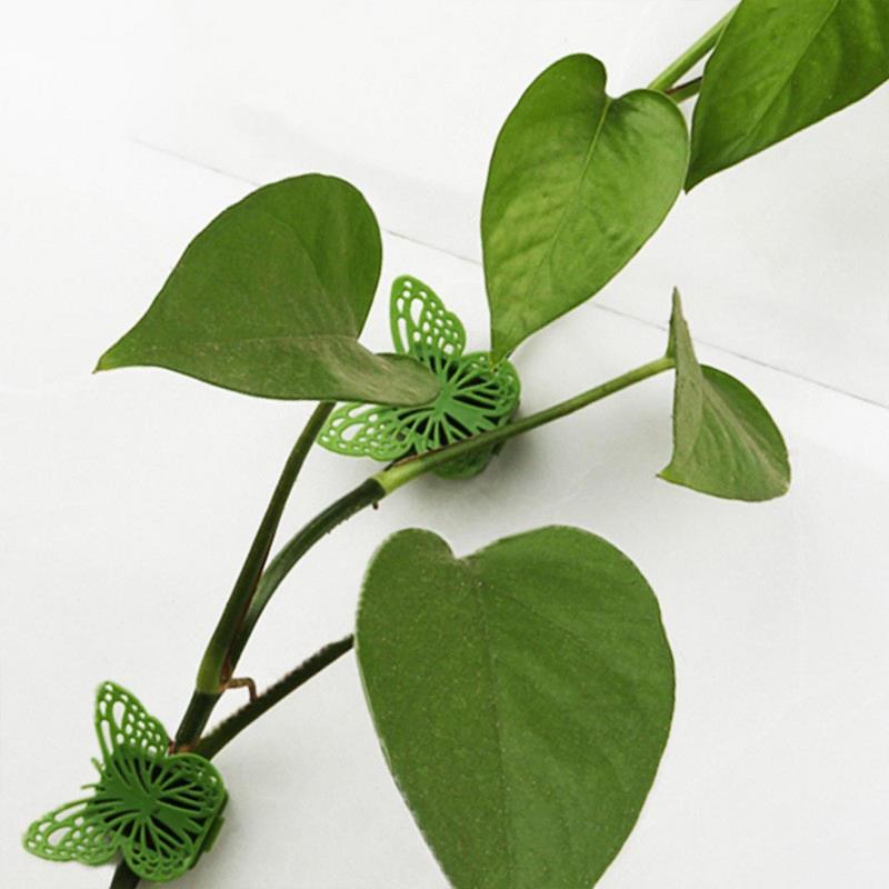 Plant Clips For Climbing Invisible Adhesive Reusable Butterfly Indoor Plant Climbing Fixture Clips For Pothos Clematis Home