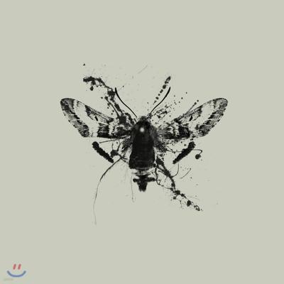 Irip - Trap