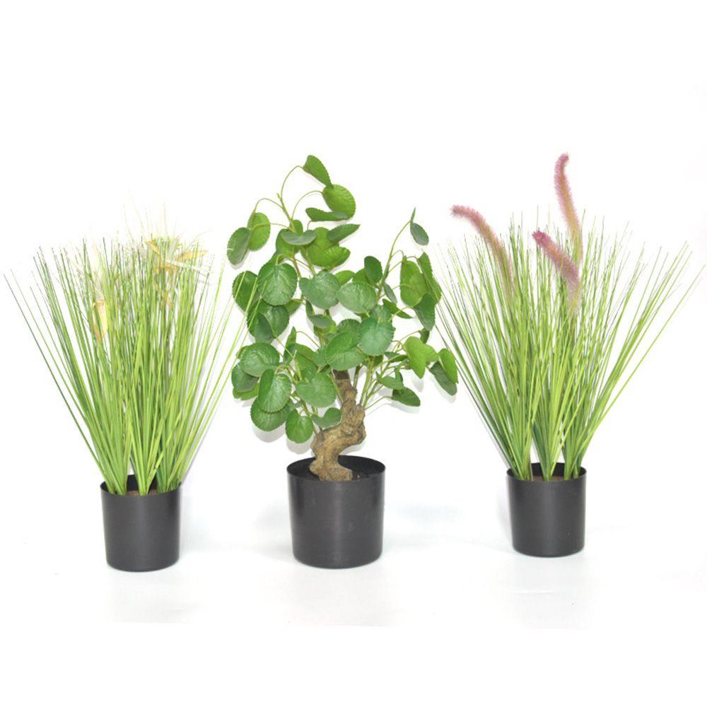 Pojemnik na rośliny domowe Czarne doniczki Pojemnik na sukulenty Doniczka Donica