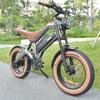 Elektrofahrrad DYU M20 1000W Motor 20" Fat Tire Vollgefedert Erwachsenen E-Bike 48V 18.2AH Doppelte Hydraulikbremse Shimano 7-Gang