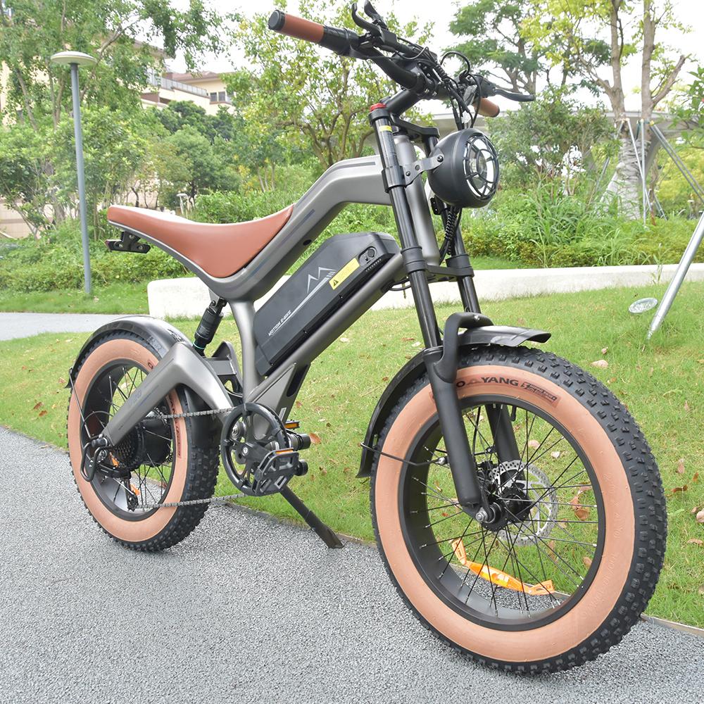 Elektrofahrrad DYU M20 1000W Motor 20" Fat Tire Vollgefedert Erwachsenen E-Bike 48V 18.2AH Doppelte Hydraulikbremse Shimano 7-Gang