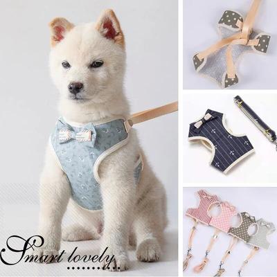 Hundegeschirr und Leine Set Haustier Katze Weste Geschirr mit Schleife Netz Gepolstert Haustier Leinen für Kleine Welpen Hunde Chihuahua Yorkie Halsband