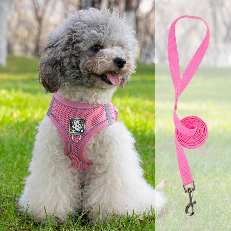Vest-Style Harness and Leash Set for Small Dogs: Bichon, Teddy, Pomeranian