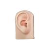 Tools Body for Hearing Teaching Simulation Ear Jewelry Earrings Display Silicone Ear Model Fake Ear