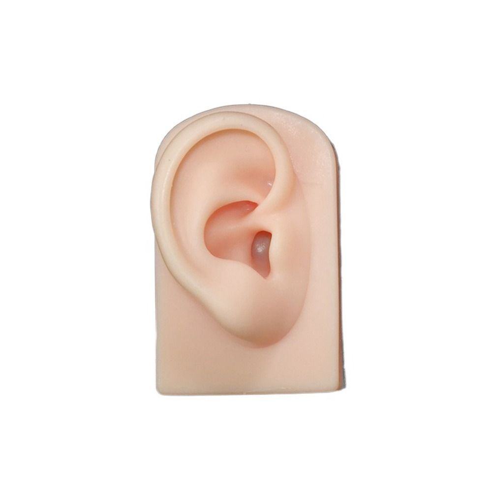 Tools Body for Hearing Teaching Simulation Ear Jewelry Earrings Display Silicone Ear Model Fake Ear