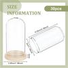 BENECREAT 30-Piece Set Clear Glass Domes 3x6cm with Wooden Bases Display Cloche Glass Domes Eternal Flowers for Flowers, Plants, Miniatures, Specimens