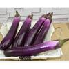 2pcs Realistic Artificial Aubergine Faux Eggplants Simulation Aubergines Foam Vegetable Decorations for Home and Office