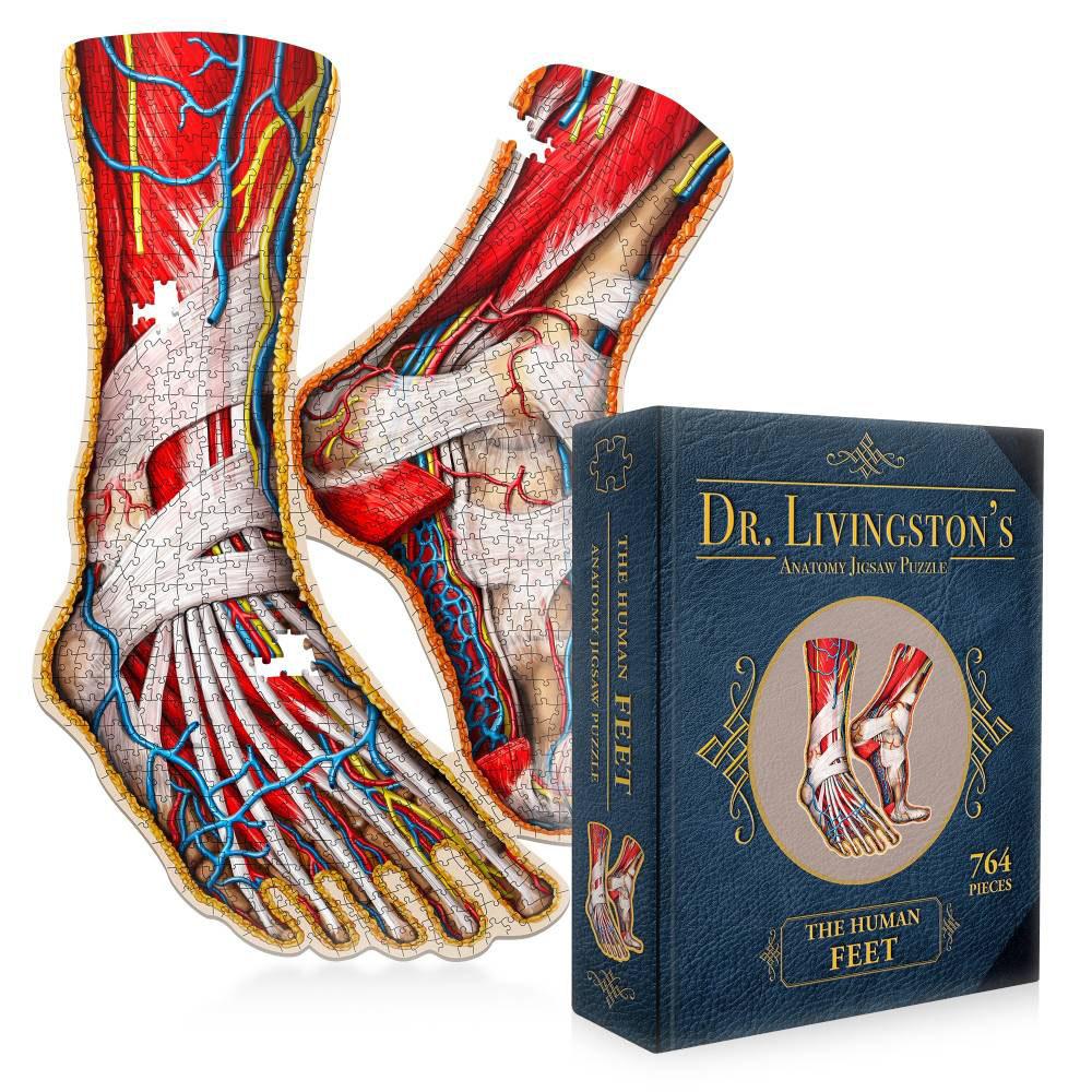 Dr. Livingston's Anatomy Jigsaw Puzzle (The Human Feet)