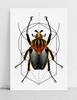 Poster Worm Insect Geometry