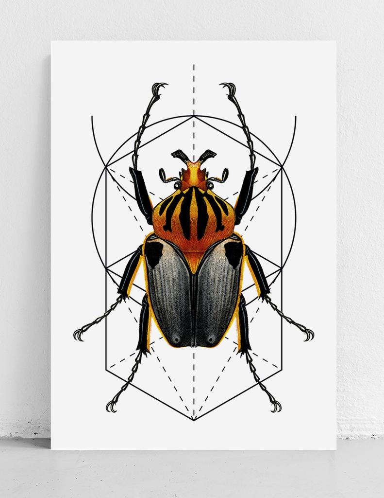 Poster Worm Insect Geometry