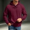 Men's Hoodie Casual Long Sleeve Pullover Sweatshirt for Fall and Winter Everyday Wear