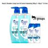 Head & Shoulders Scalp Care Anti-Dandruff Oil Control Volumizing Shampoo