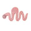 Hair Claw Pink Plastic Smile Face Hairpin Snake Shape Anti-slip Teeth Back Head Shark Hair Clip Hair Accessory