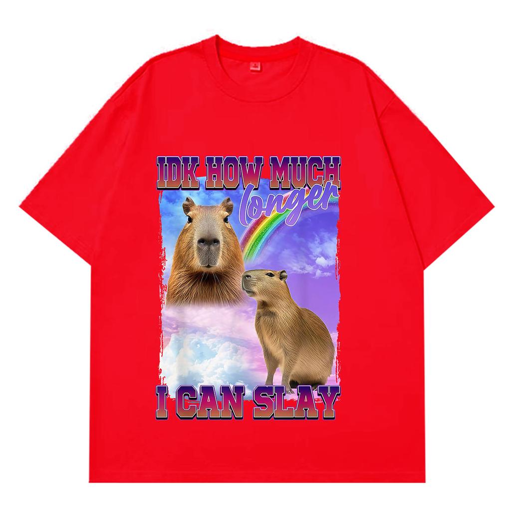 IDK How Much Longer I Can Slay Funny Capybara Meme TShirt Unisex Unisex Fashion HipHop Tshirts Summer Cotton Oversized Tshirts