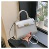 Popular Solid Color Women's Bags Hundred Crossbody Bags Premium Sense Handbags Female