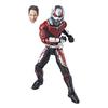Avengers Series Marvel Legends Action and the 5.0 6-inch Figure/Ant-Man (Ant-Man Wasp)