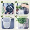 8/12Pcs Self-Watering Insert + Cotton Rope Set Automatic Watering Device for Plants
