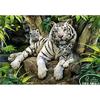 [Puzzle Life] 500 Piece Jigsaw Puzzle: Majestic White Tiger Family In Jungle - PL741