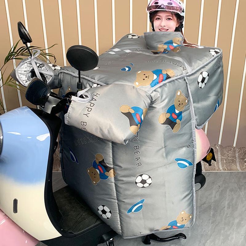 DUTRIEUX Electric Vehicle Windshield Cover