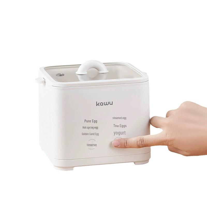 Automatic Japanese-Style Egg Steamer with Timer for Hot Spring and Candied Eggs