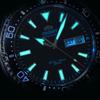 ORIENT Orient Ceas de scufundare impermeabil 200m ceas mecanic complet automat ceas bărbătesc cadou de sărbătoare cadran RA-AA0004E19B