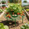 5sets High-Quality Strawberry & Small Vegetable Plant Stand/ Bed - Elevated Fruit Production with Harvestable Berries, Space-Saving Design Suitable