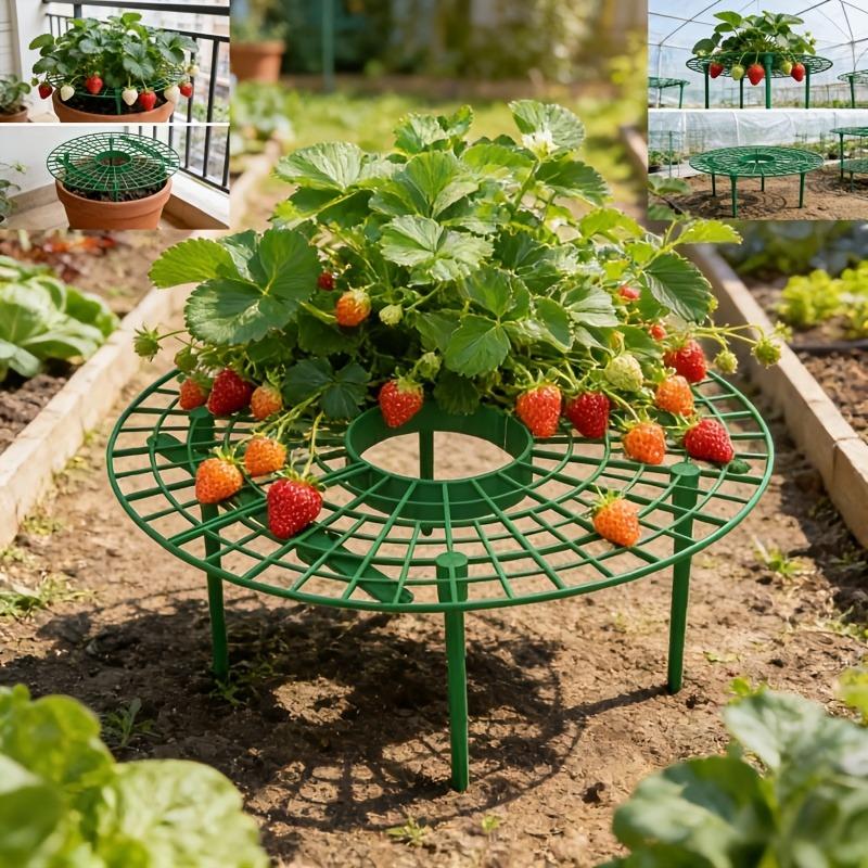 5sets High-Quality Strawberry & Small Vegetable Plant Stand/ Bed - Elevated Fruit Production with Harvestable Berries, Space-Saving Design Suitable