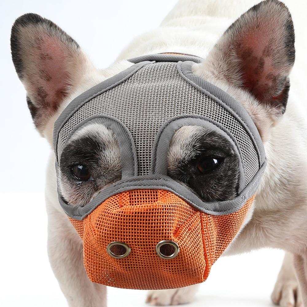 Mesh Structure Flat Face Dog Muzzle Adjustable Strap Pug Muzzle Breathable Muzzle  Daily Training