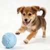 Squeaky Dog Ball Raised Texture Dog Chew Toy Bite-Resistant Puppy Teething Toy for Dogs Teeth Cleaning Boredom Relief
